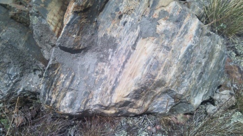 Гигантские зелёные валуны для ландшафтного дизайна весом более 5 тонн купить в Нижнекамске